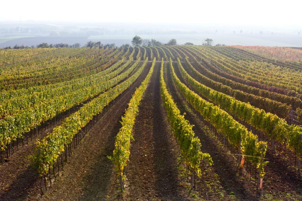 Weingut Breitenfelder เร็ทซ์ ภายนอก รูปภาพ